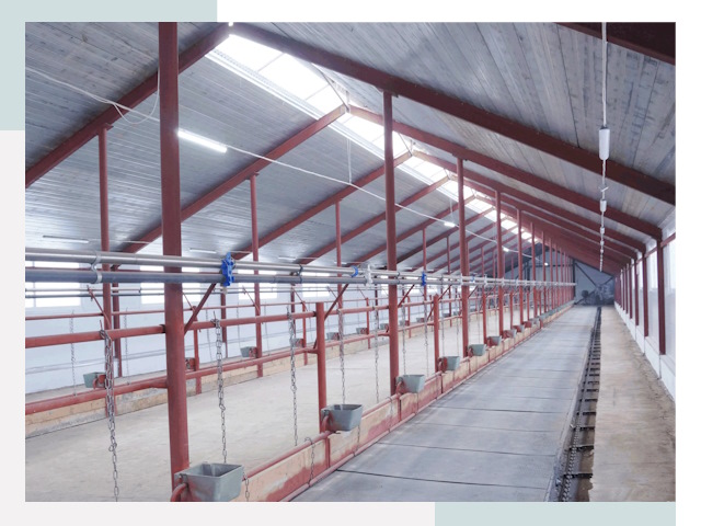 Строительство коровников в Щёлкове от 624 руб.