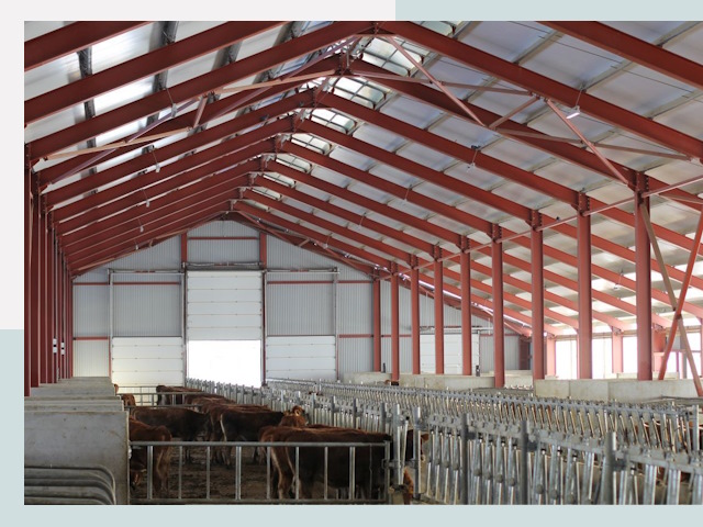 Строительство коровников в Щёлкове