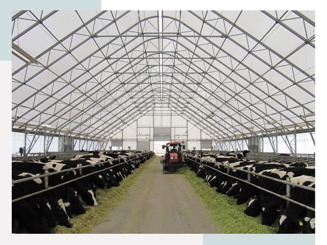 Тентовые коровники в Щёлкове от 624 руб. - Надежно и доступно